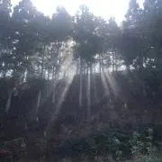 クライス