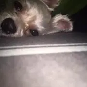 正人