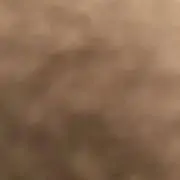 koota