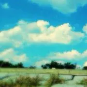 いずみの画像