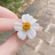 CHIARAの画像