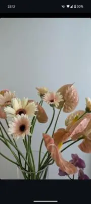 プロフ読んで下さい※Hkahの画像