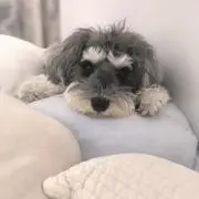 裕一