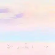SAKURAの画像