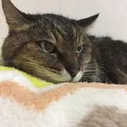 ななおの画像