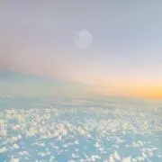 boonの画像