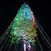 Dainyanの画像