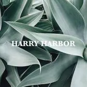 HARRY HARBORの画像