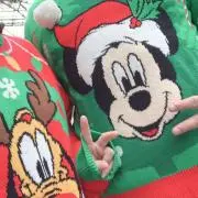 ぽむの画像