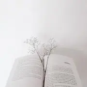 aの画像
