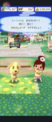 キャラメル商店の画像