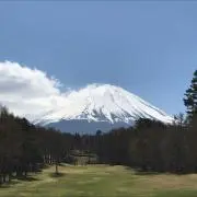 カッキー