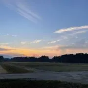 パパパパの画像
