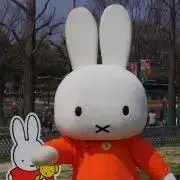 いまりの画像