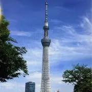 Tnaka Tinaの画像