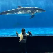 まる0324の画像