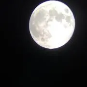 bassistの画像