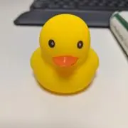 タイキの画像