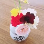 popo