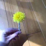 みしゅれい