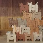 チャメの画像