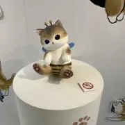 まゆの画像