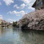 ぬたの画像