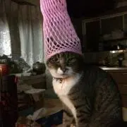ママリン