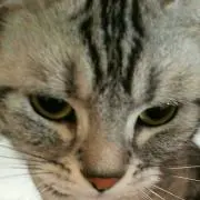 だりだり☆☆返信発送時間かかるかも