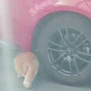 とらお