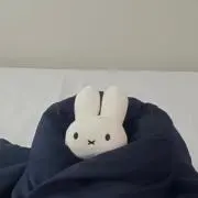 miの画像
