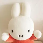 うさぎの画像