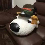 dai