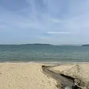 レイの画像