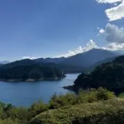 カーズの画像