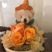 アザレアの画像