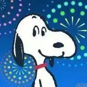 Mimosaの画像