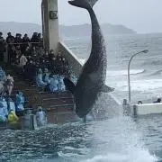 yokoroの画像