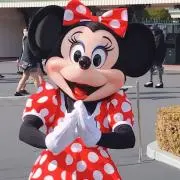 くれあの画像