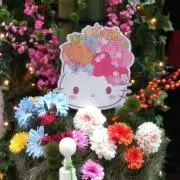 じゅんなな