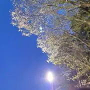 えのの画像