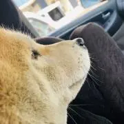 じゅんの画像