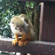 ヒロの画像