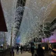 BaileyS2の画像