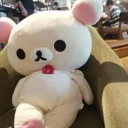 しろくまさんの画像