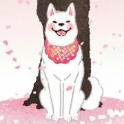sasanohaの画像