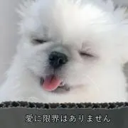 ^_^の画像
