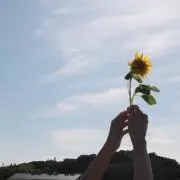 ぴの画像