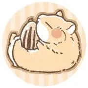 momo次回発送6/29(月)の画像
