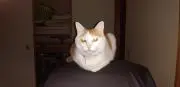 ヒロユキ